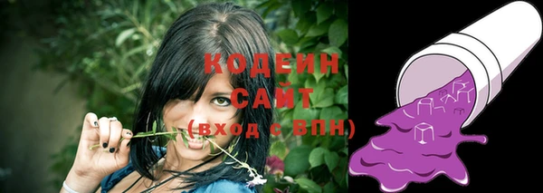 2c-b Кодинск