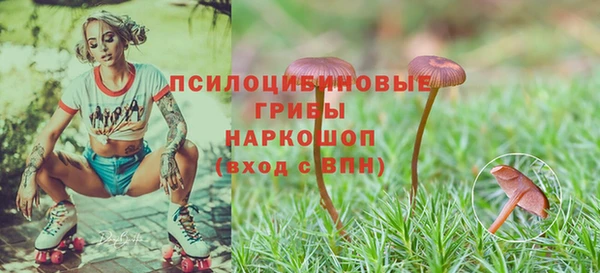гидра Козельск