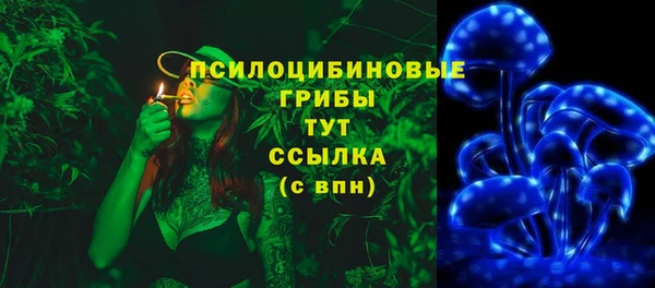 2c-b Кодинск