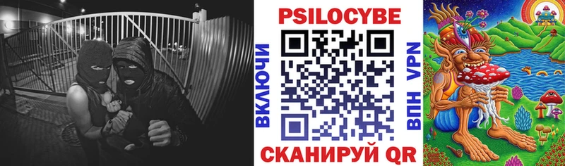 Псилоцибиновые грибы Magic Shrooms  Купить закладки  Энгельс 